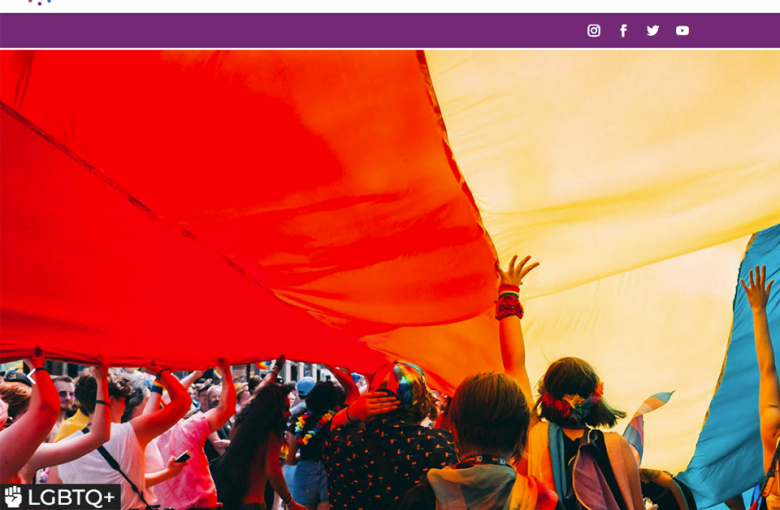 MCM Website